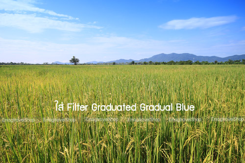 Graduated Gradual Blue
