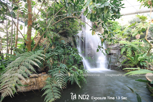 ND2