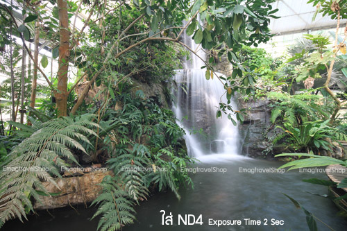 ND4
