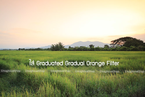 Graduated Gradual Orange Filter