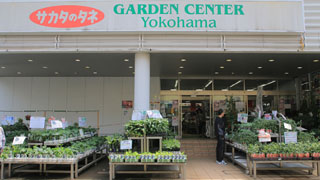 ร้านขายต้นไม้ GARDEN CENTER Yokohama