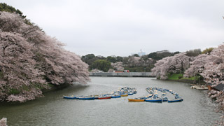 Kitanomaru Park – Chidorigafuchi