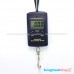 เครื่องชั่งนักหนักดิจิตอล 0-40 kg