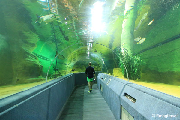 อุโมงค์ใต้น้ำ