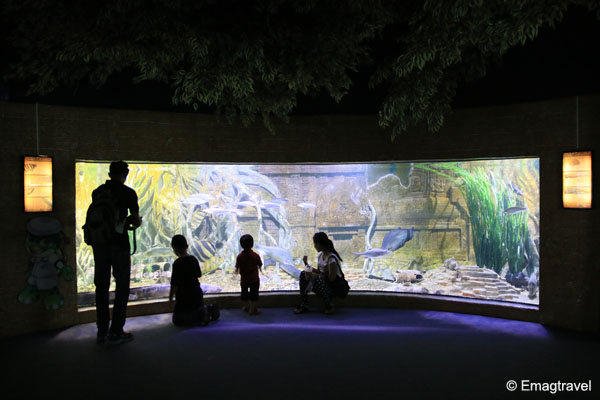 ตู้ปลาใหญ่