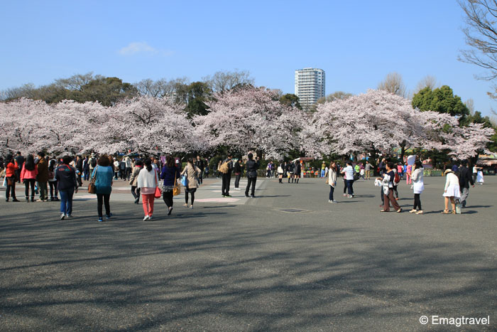 Ueno park