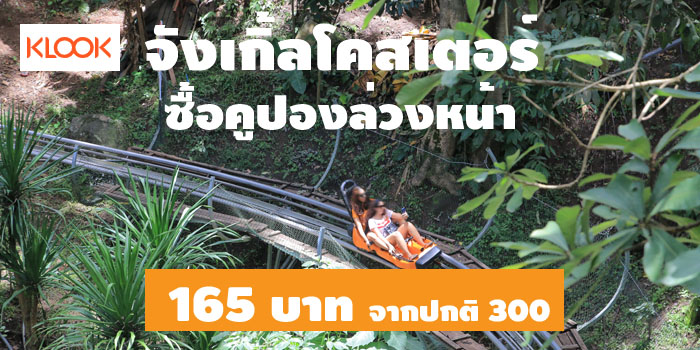 pyongyang jungle coaster zipline camp&resort ราคา full