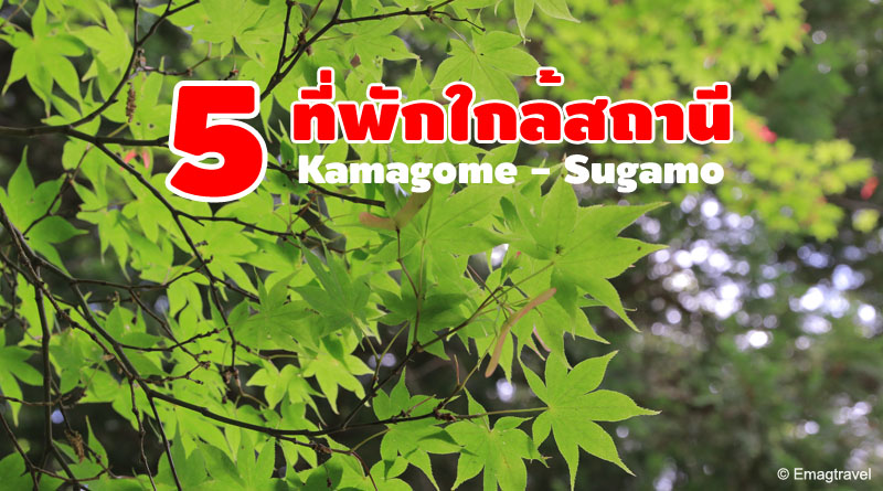 5 ที่พักใกล้สถานี Kamagome – Sugamo โตเกียว