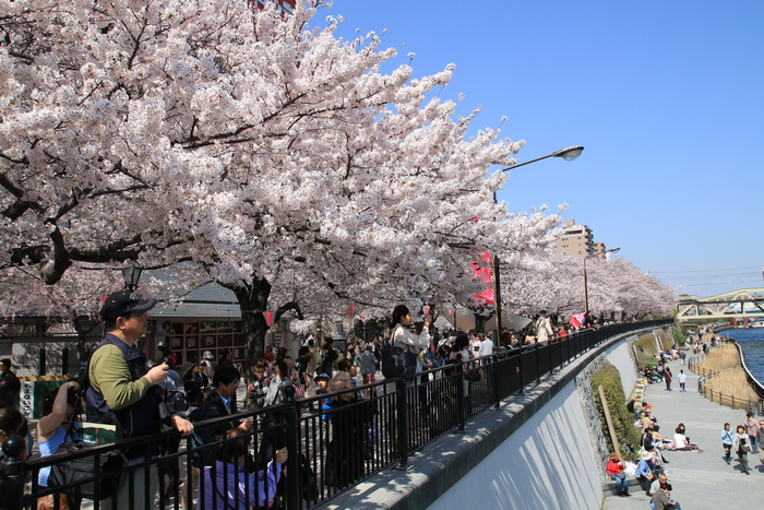 ที่พักโตเกียว